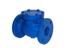 Клапан обр.фл. поворотный Ду 80  Ру 16Tmax=300C, чугунный, Гранлок RD30-080